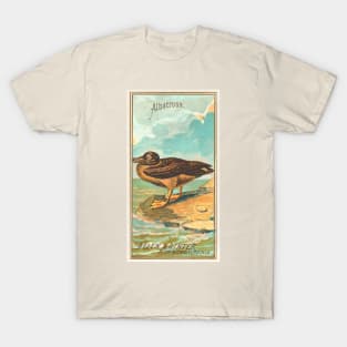 Albatross T-Shirt